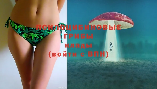 спиды Каменка