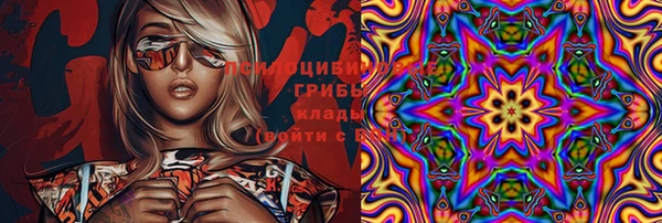 не бодяженный Каменск-Шахтинский