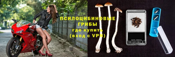 спиды Каменка