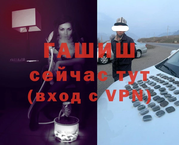 спиды Каменка