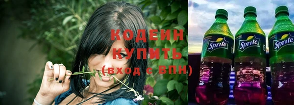 спиды Каменка