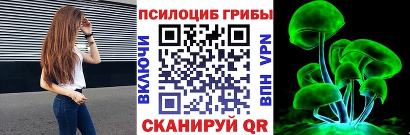 Псилоцибиновые грибы Psilocybine cubensis Ленск