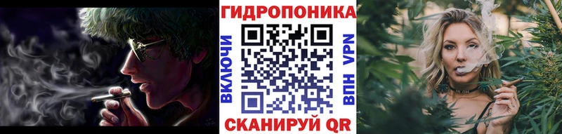 Шишки марихуана OG Kush Ленск